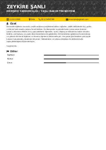 Hasta ve Yaşlı Bakım Elemanı Cv Örnekleri cv indir